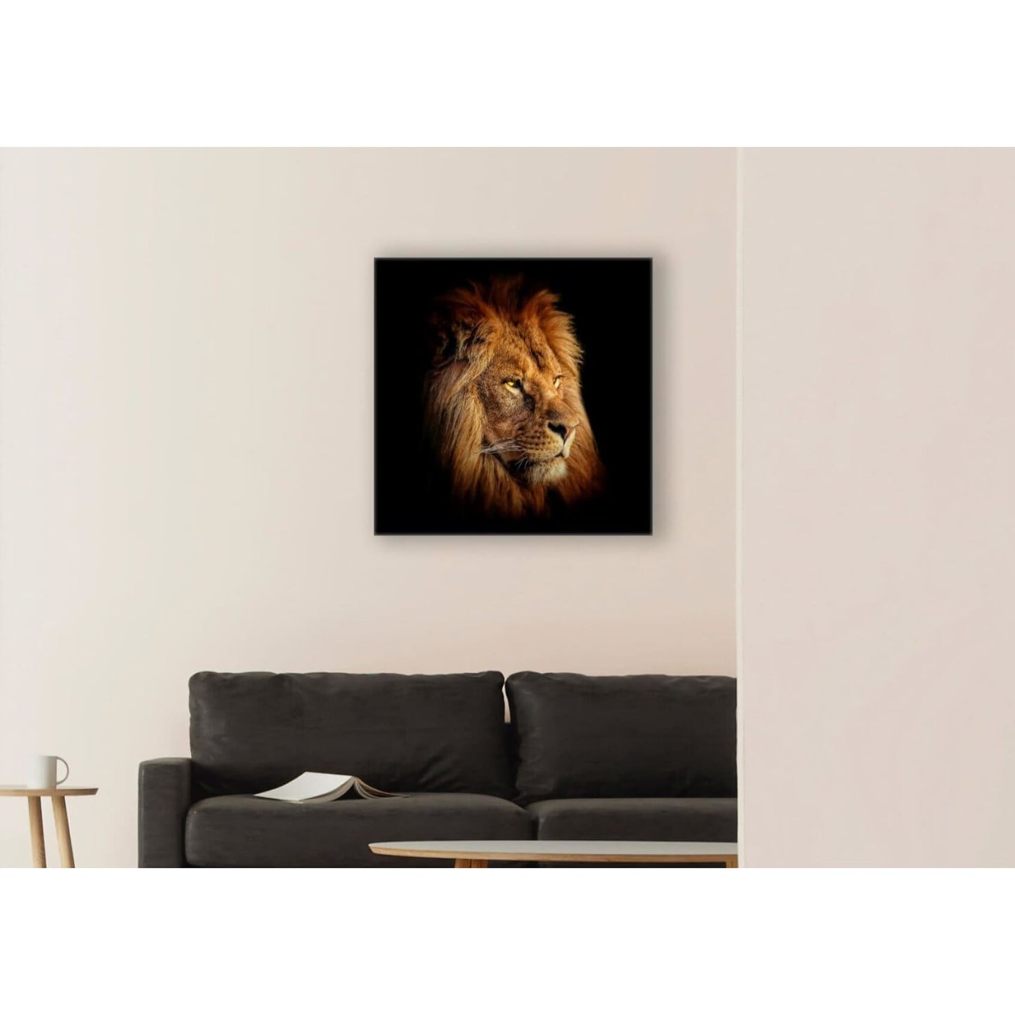 Cuadro Congo - 53x53 #MWS Options 350658647 -