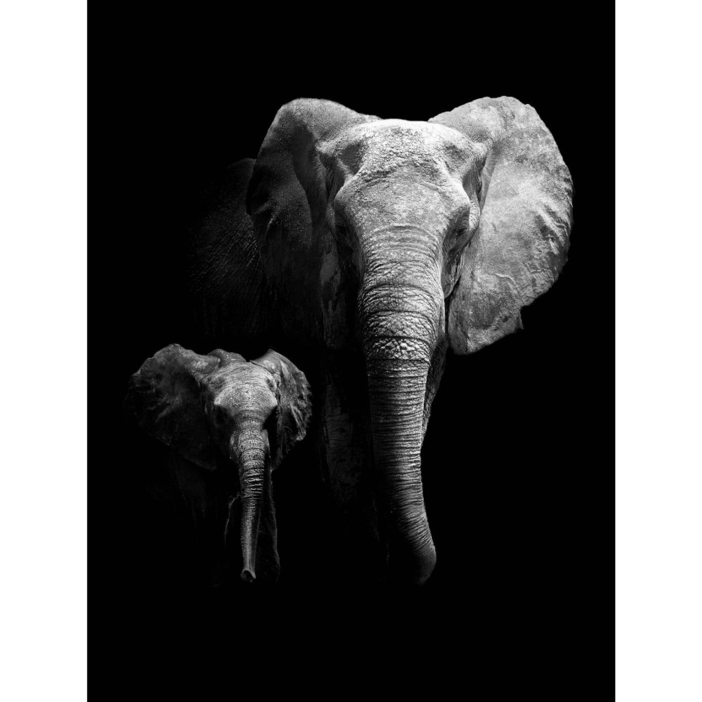 cuadro decorativo, decoración, sala, estudio, habitación, animal, elefante