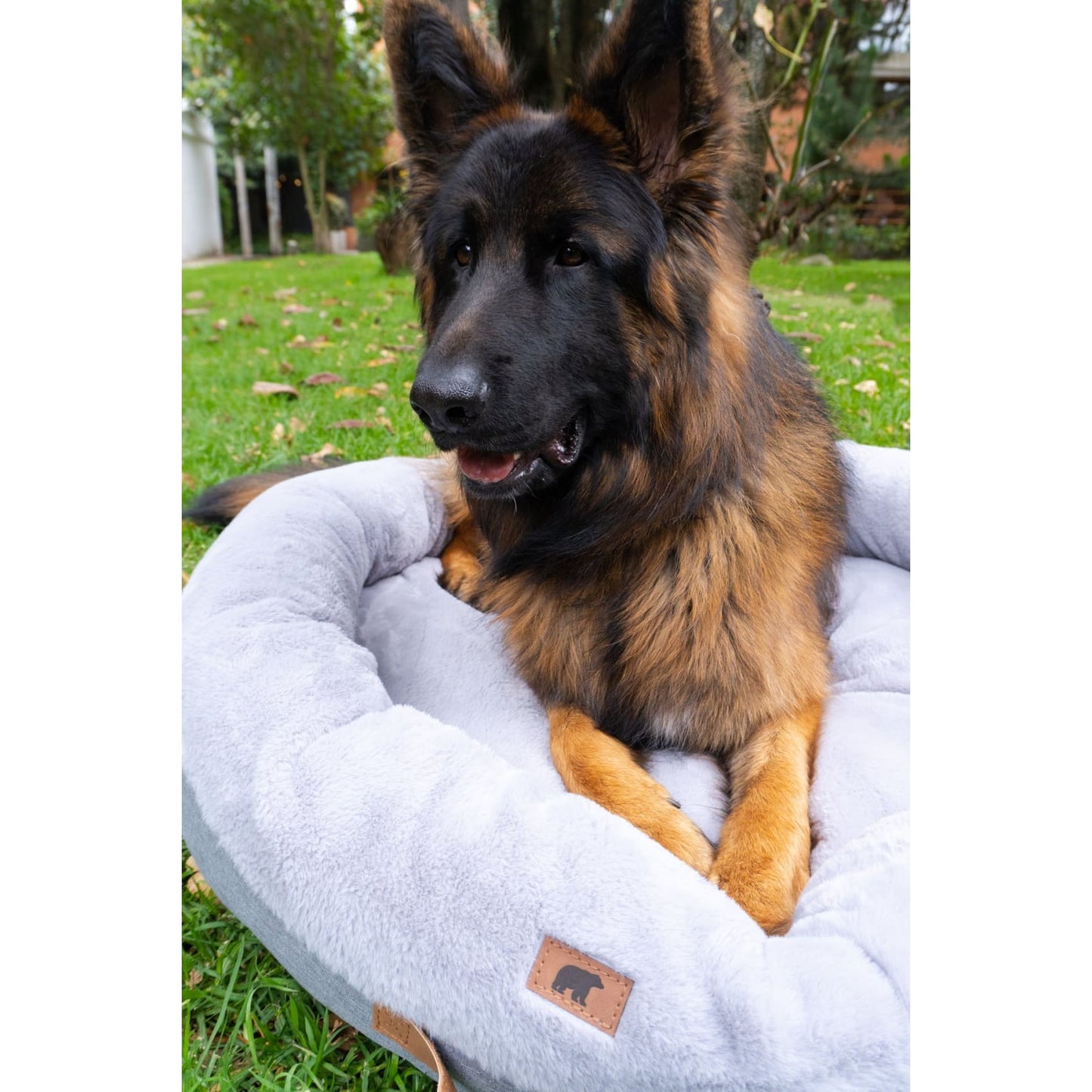 Puff pets , cama, mascota, linea pets, comodidad