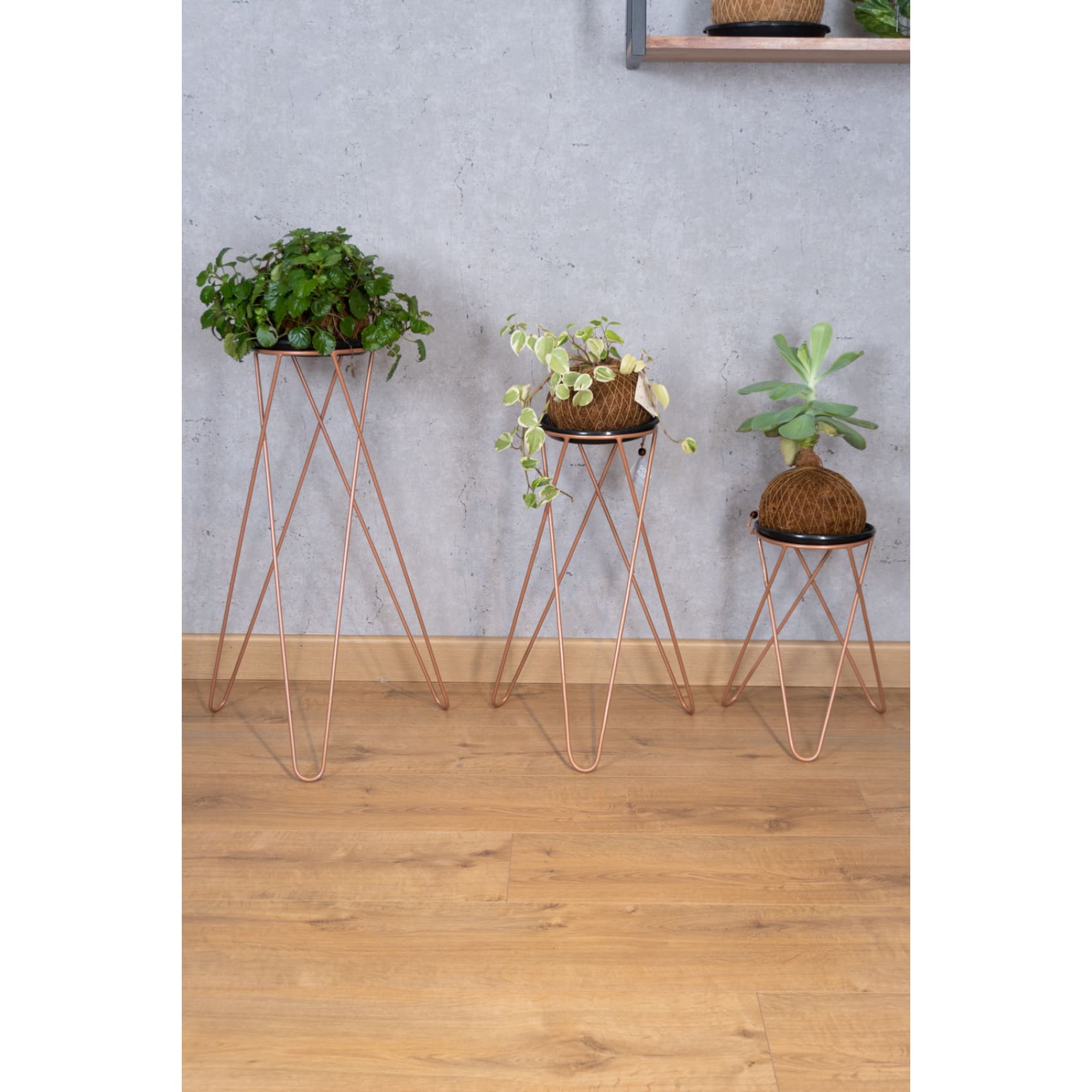 Matera, base para planta, planta, decorativo, bronce