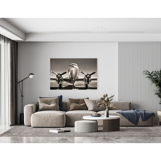 cuadro decorativo, decoración, sala, estudio, habitación, avión