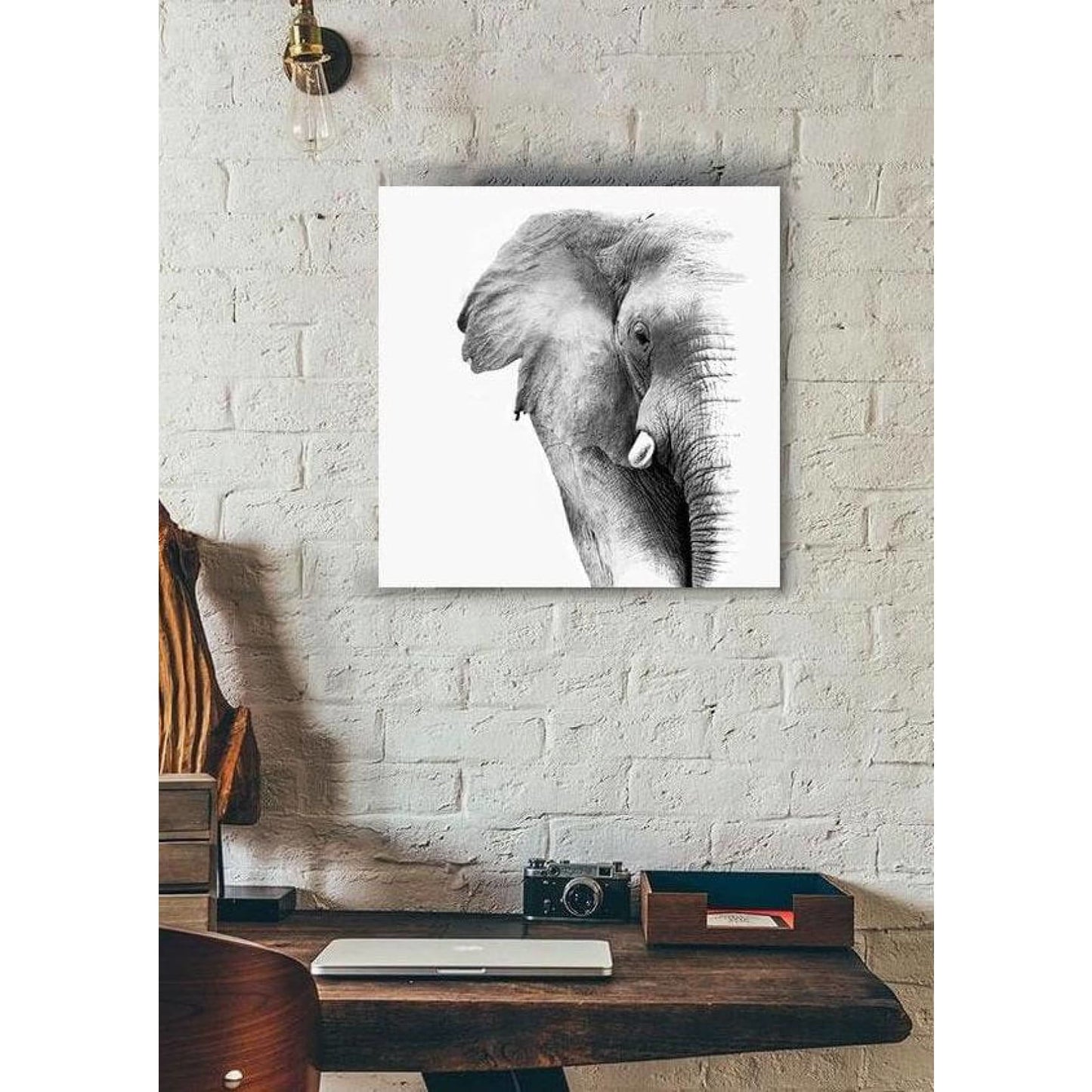 cuadro decorativo, decoración, sala, estudio, habitación, animal, elefante 