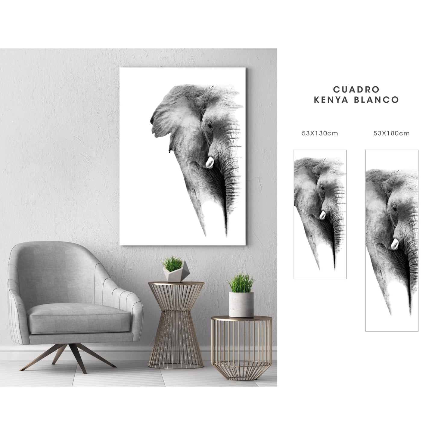 cuadro decorativo, decoración, sala, estudio, habitación, animal, elefante 