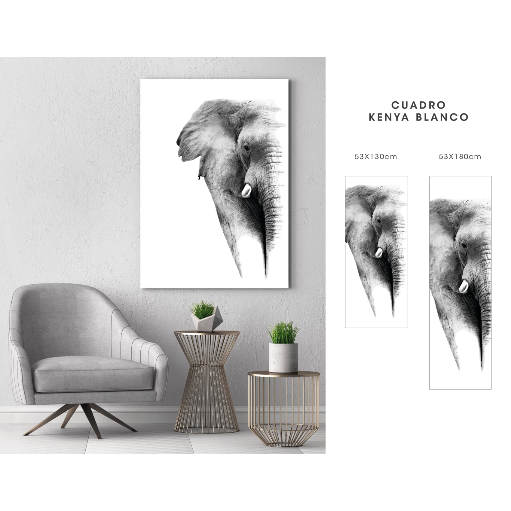 cuadro decorativo, decoración, sala, estudio, habitación, animal, elefante 
