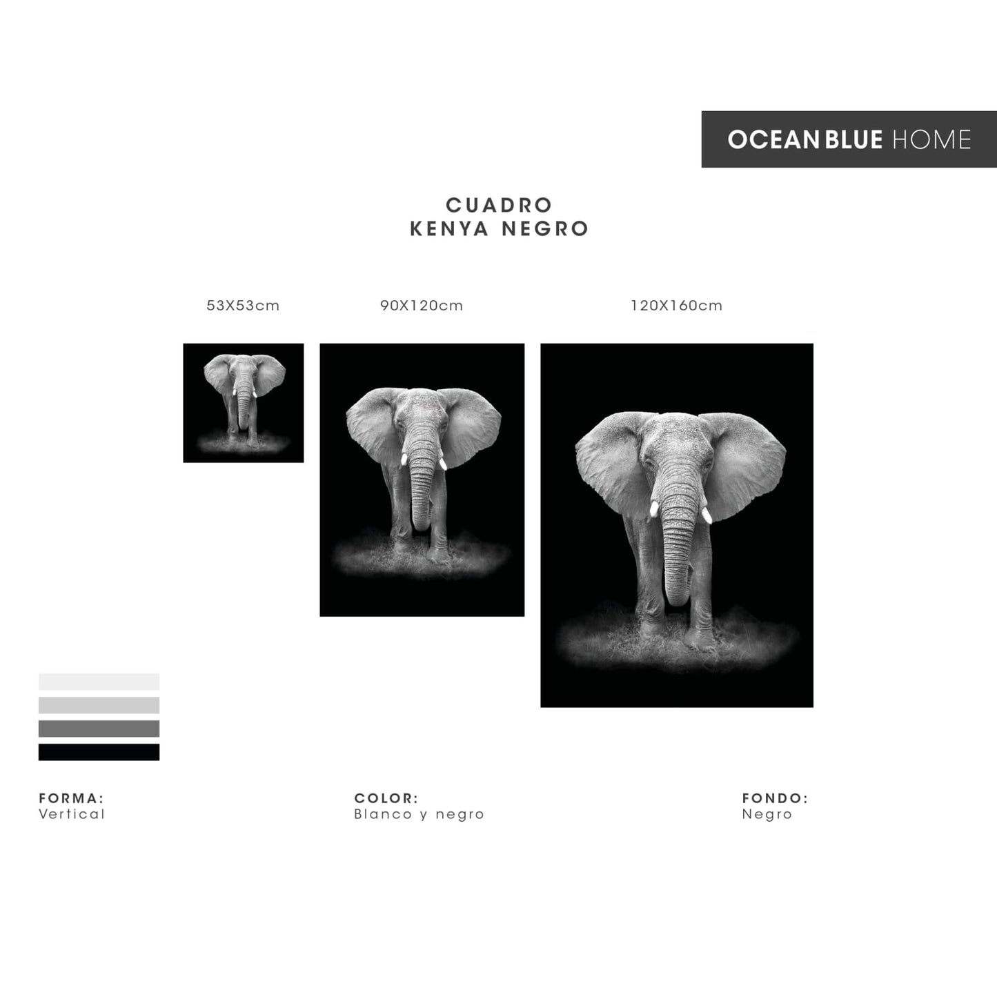 cuadro decorativo, decoración, sala, estudio, habitación, animal, elefante