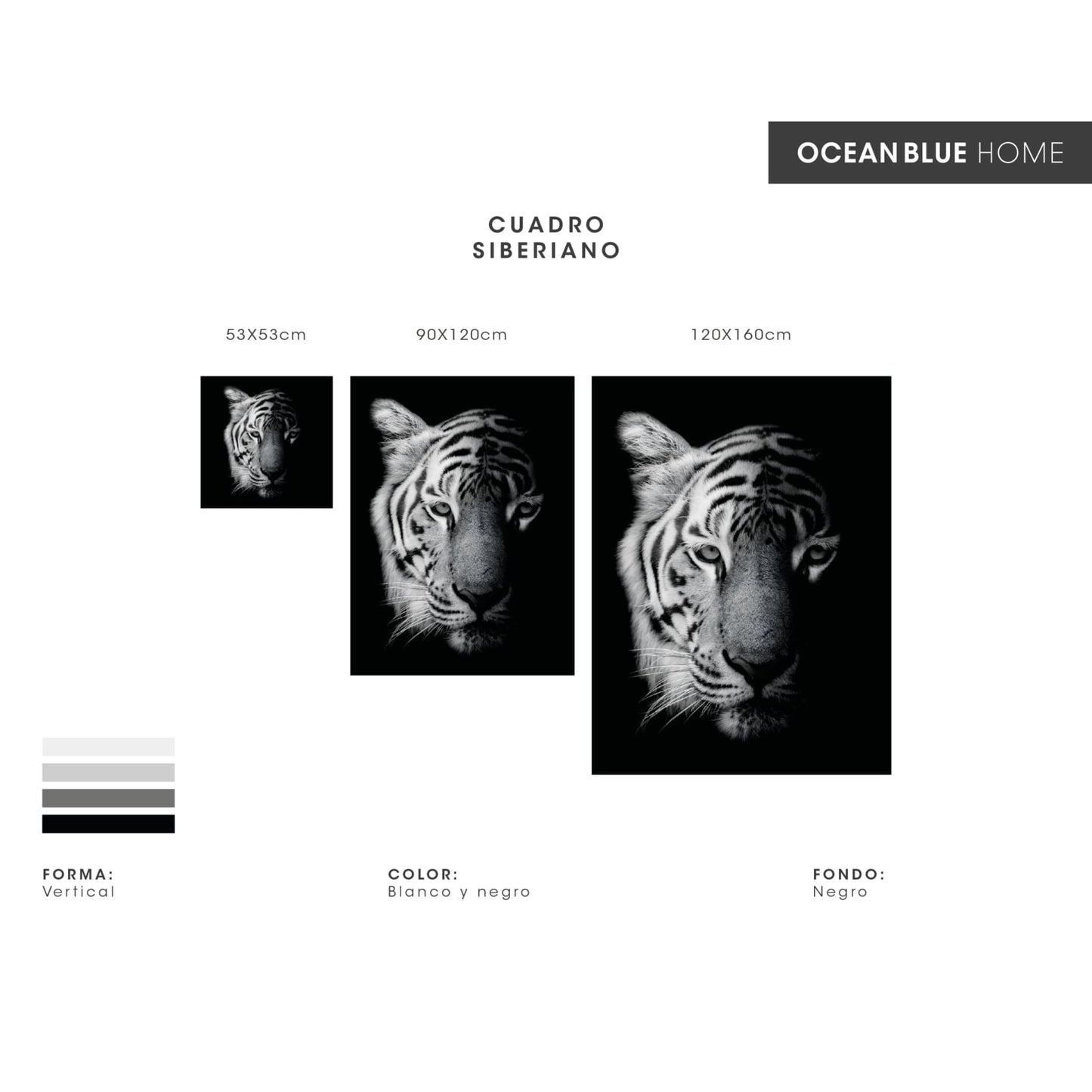 Cuadro decorativo, sala, habitación, animal, tigre