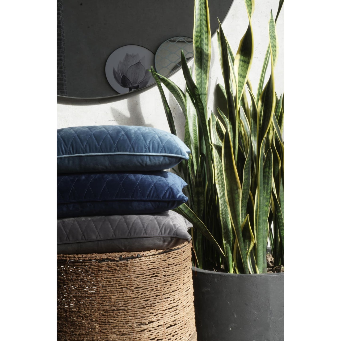 Cojin, sofa, cama, volumen, habitación, decorativo, gris, texrura